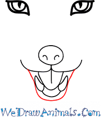 Try not to just scribble your fur in. How To Draw A Fox Face