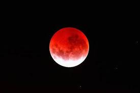 Wann ist vollmond im jahre 2020**erfahren sie hier alles über unseren mond. Heute Nacht Scheint In Berlin Der Erdbeermond B Z Berlin