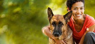 I like the pet sitting specific marketing ideas. Pet Sitters International The Leading Pet Sitter Association
