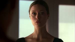 Sarah connor and her son are pursued by fbi special agent james ellison who thinks she is a crazy criminal. Terminator The Sarah Connor Chronicles Season 1 Episode 7 Rotten Tomatoes