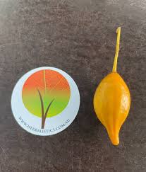 Image result for Tabernanthe elliptica