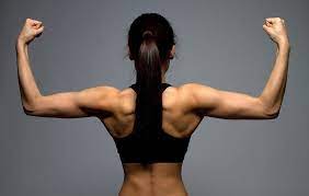 Whether at the rhomboid muscles of the upper back or the erector spinae at the base of the spine, there. Back Workout Women S Health