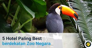 Spesies yang ada di kebun binatang medan zoo terdiri dari 26 jenis burung sebanyak 167 ekor, 6 jenis reptil 37 ekor, 16 jenis mamalia sebanyak 70 ekor. 5 Hotel Paling Best Berdekatan Zoo Negara C Letsgoholiday My