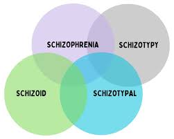 Image result for Schizozygia