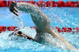 Check spelling or type a new query. Vizes Vb Vilagcsuccsal Vilagbajnok Milak Kristof Bumm Sk