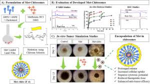 Despite this, pancreatic cancer is among the deadliest types of cancer, which is why it's extremely important to know and recogni. Metformin Loaded Chitosomes For Treatment Of Malignant Pleural Mesothelioma A Rare Thoracic Cancer Sciencedirect