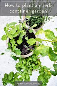 4.4 out of 5 stars 99. How To Plant An Herb Container Garden For Patio Or Kitchen Greenhouse Studio