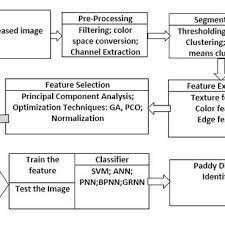 Pdf Image Processing Techniques For Diagnosing Rice Plant Disease A Survey