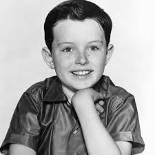 Towne Square Records and Comics Gallatin Comic Con 2023 has something for  everyone.