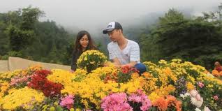 Taman wisata bunga selecta batu malang wisata bromo tour travel. 15 Tempat Wisata Di Malang Dan Batu Cocok Untuk Keluarga Halaman All Kompas Com