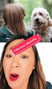 A posição de dormir dos cachorros: O que significa?