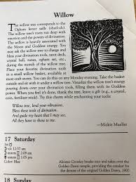 Willow Tree Roots Tarot Decks Ogham