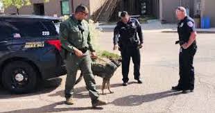 In the doghouse: A member of Santa Fe's K-9 unit is the focus of an  internal affairs investigation