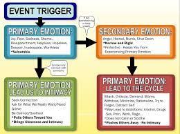 Image Result For Primary And Secondary Emotions Chart