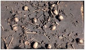 DEUQUASP - The Bronze Age battlefield in the Tollense Valley – conflict  archaeology and Holocene landscape reconstruction
