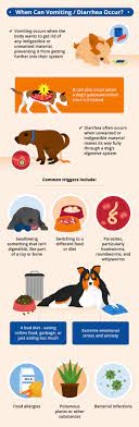 Maybe you would like to learn more about one of these? Vomiting And Diarrhea In Dogs Canna Pet