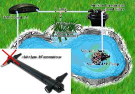 Uvc Sterilization How Aquarium Pond Uv Sterilizers Work