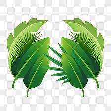 Perbatasan tema daun hijau gambar unduh gr. Gambar Menanam Daun Tropis Tanam Clipart Menanam Tropis Png Transparan Clipart Dan File Psd Untuk Unduh Gratis Tropical Leaves Iphone Case Stickers Leaf Drawing