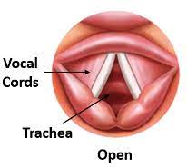 How To Sing Better: 40 Tips From A Real Vocal Coach | Ramsey Voice Studio