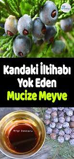 Kandaki Iltihabi Yok Eden Doga Ustu Meyve Meyve Detoks Diyeti Saglikli