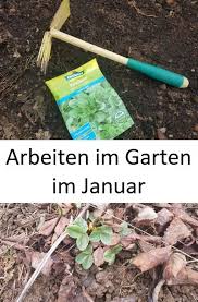 Mit Einigen Handgriffen Im Januar Kann Der Garten Auf Das Neue Gartenjahr Vorbereitet Werden Auch Fur Die Gartenplanung Ist Es Garten Gartenarbeit Gartentipps