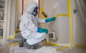 Knowing the lead paint removal fayetteville costs is recommended before starting a lead paint removal project. Charlotte Mold Remediation Same Day Mold Removal 1 In Charlotte