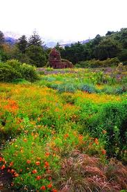 Pin By Porta Stor On Mission Canyon Ca Santa Barbara California California Travel Gardens Of The World