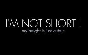 40 Funny Short Girl Quotes Your Girlfriend Will Appreciate To The Fullest Short Funny Quotes Short Girl Quotes Bio Quotes