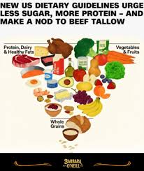 Image result for Nutrition Guidelines
