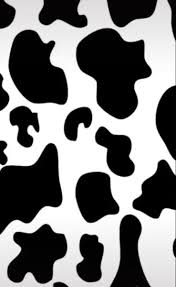 Black And White Cow Print Wallpaper Cow Wallpaper In 2020 Cow Wallpaper Aesthetic Iphone Wallpaper Print Wallpaper