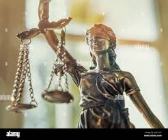 Image result for Justicia nyassana