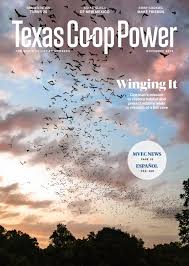 We understand that a pest problem cannot wait, and we work to ensure your satisfaction in a timely, effective manner. Texas Co Op Power Novemeber 2020 By Codesm Issuu
