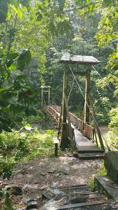 Maison De La Foret Guadeloupe Old Bridges Outdoor Outdoor Structures