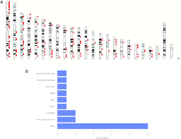 Karyotype View Of Ewas Hits And Bar Chart Of Ewas Tissues A