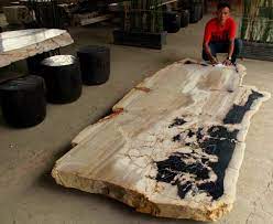 Petrified Wood Dining Table Houzz Petrified Wood Wood Wood Stone