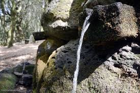 Do You Drink Tap Water Or Buy Bottled? : R/Napoli