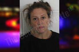 Nancy Mathis — Floyd County Jail Bookings