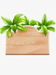Coconut Tree Nameplate Png And Clipart Clip Art Borders Moana Clip Art