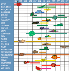 Permit For Food Chart Chiang Mai Forum Thailand Visa