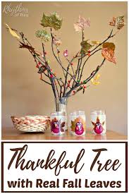 You can tell the thanksgiving cactus apart from the christmas cactus by the shape of its leaves. How To Make A Thankful Tree With Real Fall Leaves Rhythms Of Play