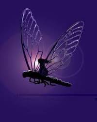 Black Book Winds Of Change Bug Pin By Tracy Lee On Favourite Tattoo S In 2020 Dragonfly Dragonfly Art Fairy