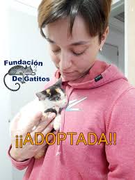 GATITADEFAN EN ADOPCION EN FLORESTA! la rescatamos hace unos meses, fue  maltratada, tiene 7/8 meses, vacunada, desparasitada, sin pulgas y ya está  castrada hace 15 días y está muy bien. es una