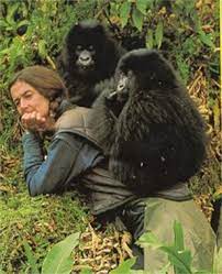 Dian Fossey | W&N - Ground-breaking, award-winning, thought-provoking books  since 1949