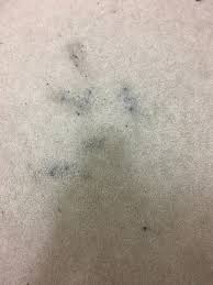 Maybe you would like to learn more about one of these? Black Eyeshadow Has Exploded All Over My Carpet Tried Nail Polish Remover Makeup Remover Which Did Not Work Please Help Cleaningtips