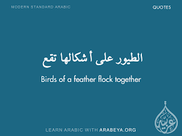 الطيور على أشكالها تقع english learning spoken english words english language learning grammar