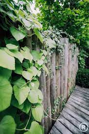 hier vind je alle foto s met woonideeen laat je inspireren tuin hovenieren tuin decoratie