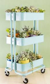 Make Up Organization Make Up Organization Diy Make Up Organization Small Places Make Up Organization Idea Idees Jardin Pot A Plante Grasse Jardin Interieur
