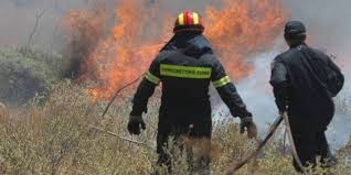 Μη γίνεσαι μαλάκας τώρα 17. Soyfli Twra Dyo Pyrkagies Meta3y Dadias Giannoylh Kai Royssas Gonikoy Amesh Epembash Ths Pyrosbestikhs Evros News