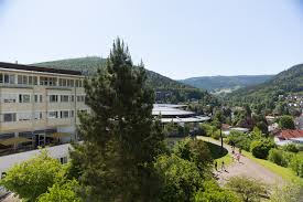 Passende mietangebote gibt es im regionalen wohnungsmarkt beim schwarzwälder bote. Srh Gesundheitszentrum Bad Herrenalb