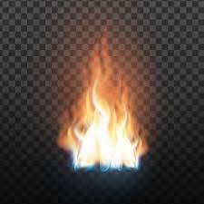 Animation Stage Of Decorative Fire Flame Vector Png And Vector Latar Belakang Ilustrasi Png